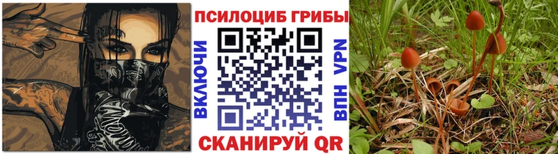 Галлюциногенные грибы прущие грибы  Кизилюрт 