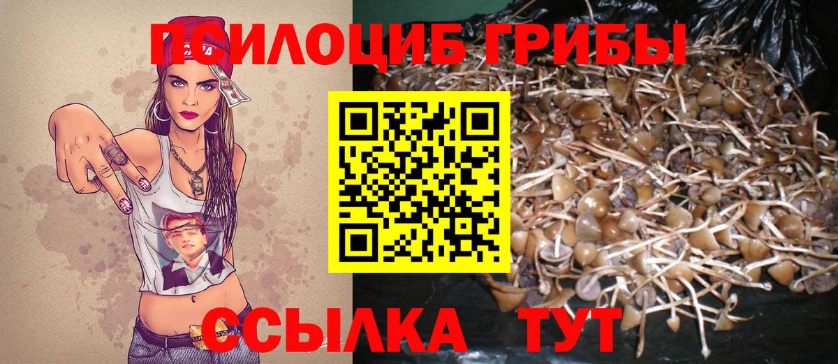 Галлюциногенные грибы GOLDEN TEACHER  Вход с VPN  Кизилюрт  как найти   Псилоцибиновые грибы Magic Shrooms 