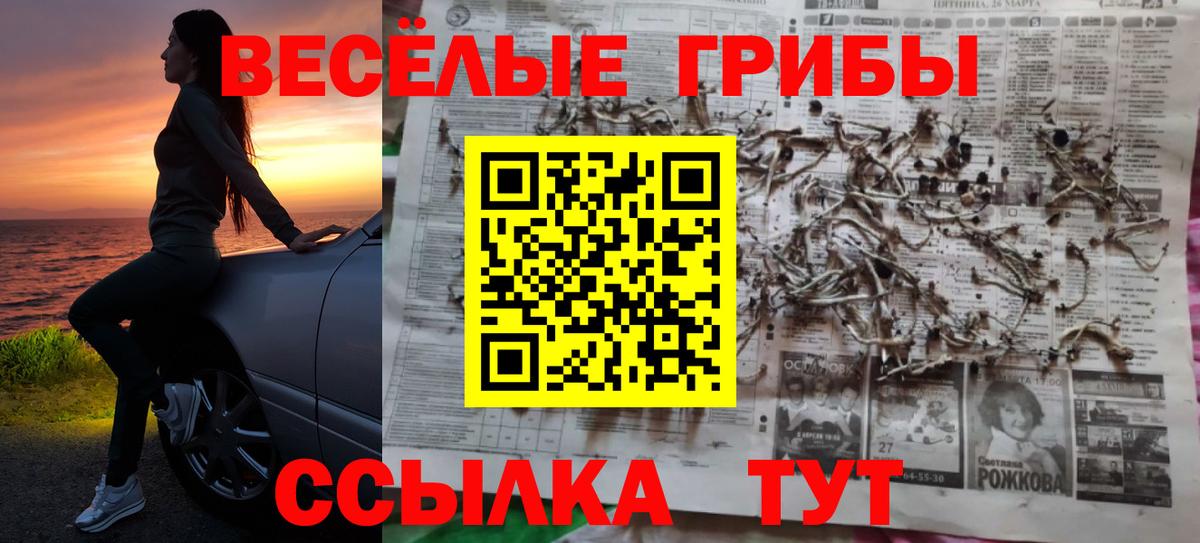 Псилоцибиновые грибы мухоморы Кизилюрт
