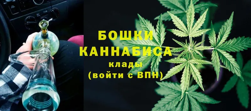 Канабис OG Kush  как найти   Кизилюрт 